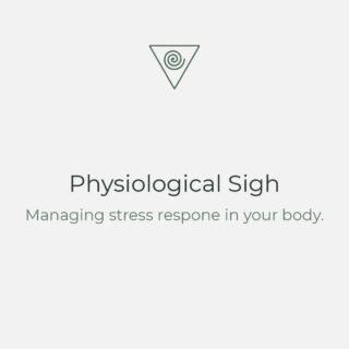 "Physiological Sigh" is a breathing pattern and a natural stress-relieving mechanism that most mammals deploy when the levels of CO2 in their bloodstream are too high. As humans, we do that unconsciously in our sleep, when we cry and on any other occasion is needed, and is a very effective tool for when you are experiencing stress.

The advantage of this tool is that it takes no previous experience or effort and it happens in real-time with immediate effect on our physiology compared to other useful techniques like mindfulness.

How to practice it, take two inhales through the nose followed by an extended exhale through the mouth. Do it 2-3 times in a row the moment you feel stressed out and notice what happens.

How it works, in our lungs we have little sacks of air (called alveoli) which increase the volume of air that you can bring in. Those sacks collapse over time, and as a result, oxygen levels start to go down and carbon dioxide levels go up in the bloodstream and body signaling the stress response. By double inhaling, you expand these air sacks taking up more oxygen while slowly releasing the carbon dioxide in a long exhaled sigh out. 

#yoga #breath #breathingpattern #physiologicalsigh #stress #stressresponse #stressrelief #dealingwithstress #yogateacher #yogaeirini