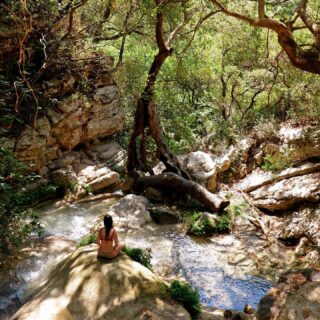 Harmony~

Being in nature feels like home. A safe place to just be with no obligations, expectations, to-do lists, etc.

I sat by Neda river fully aware of the external and internal environment, the sound of the river flowing heavily and fiercely, the crickets and birds, the cold sensation on my skin from the water and the rocks, the soft beating of my heart, and the noise that people make in the background.

The river reminds me to let go of my need to control life and instead indulge myself in the mystic experience of just be in harmony with what it is.

#yoga #harmony #life #letitgo #river #Neda #waterfall #Nedawaterfalls #awareness #yogaeveryday #rocks #water #flow #nature #mindfulness #mindfulliving #slowdown #yogateacher #yogaeirini